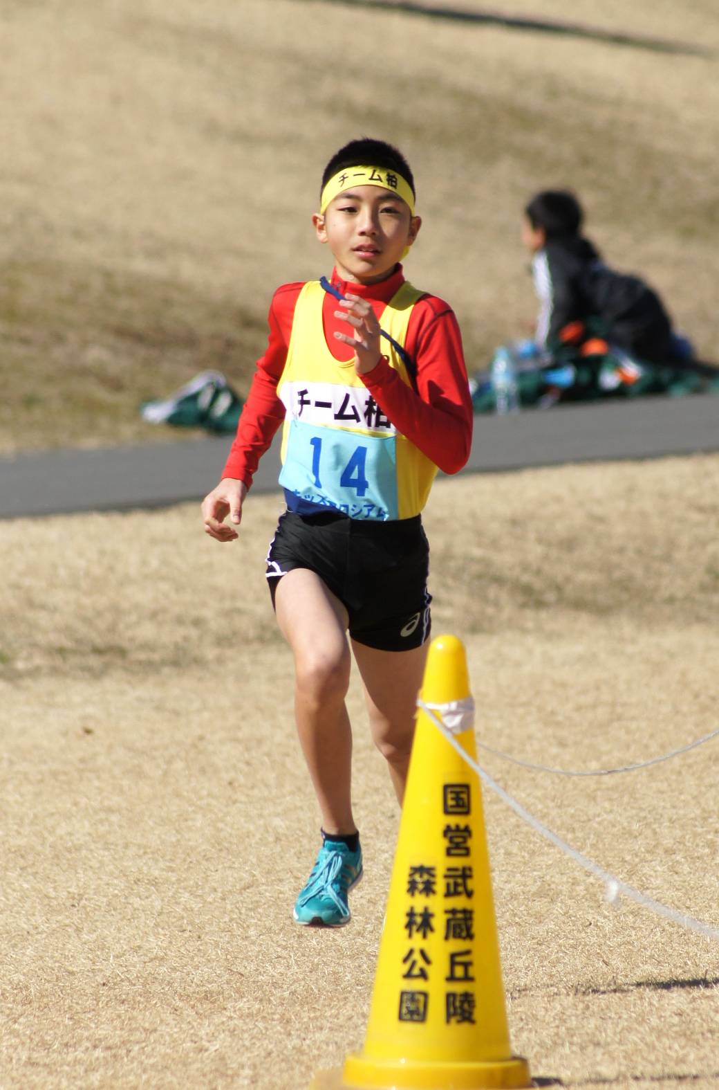 池澤悠冬 プロフィール